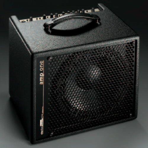 AER - Amp One, Bottomline Bass Combo AER - Amp One, Bottomline Bass Combo
